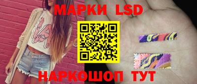 амф Заволжье