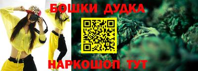 гидра Жуковский